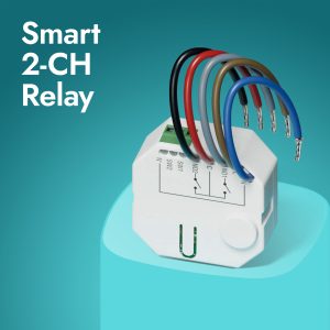 Smart 2-CH Relay