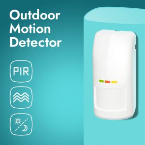 Outdoor Motion Detector