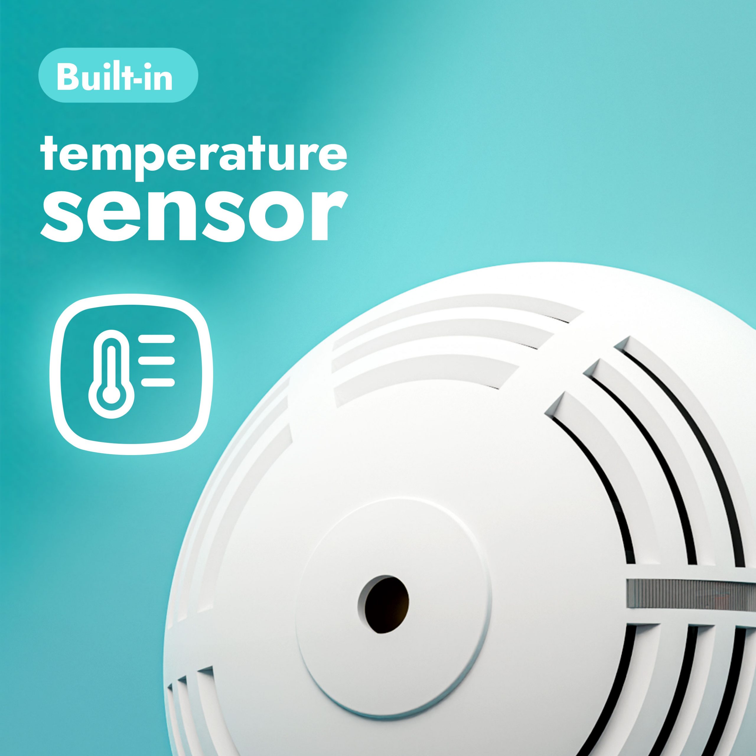Carbon Monoxide Detector