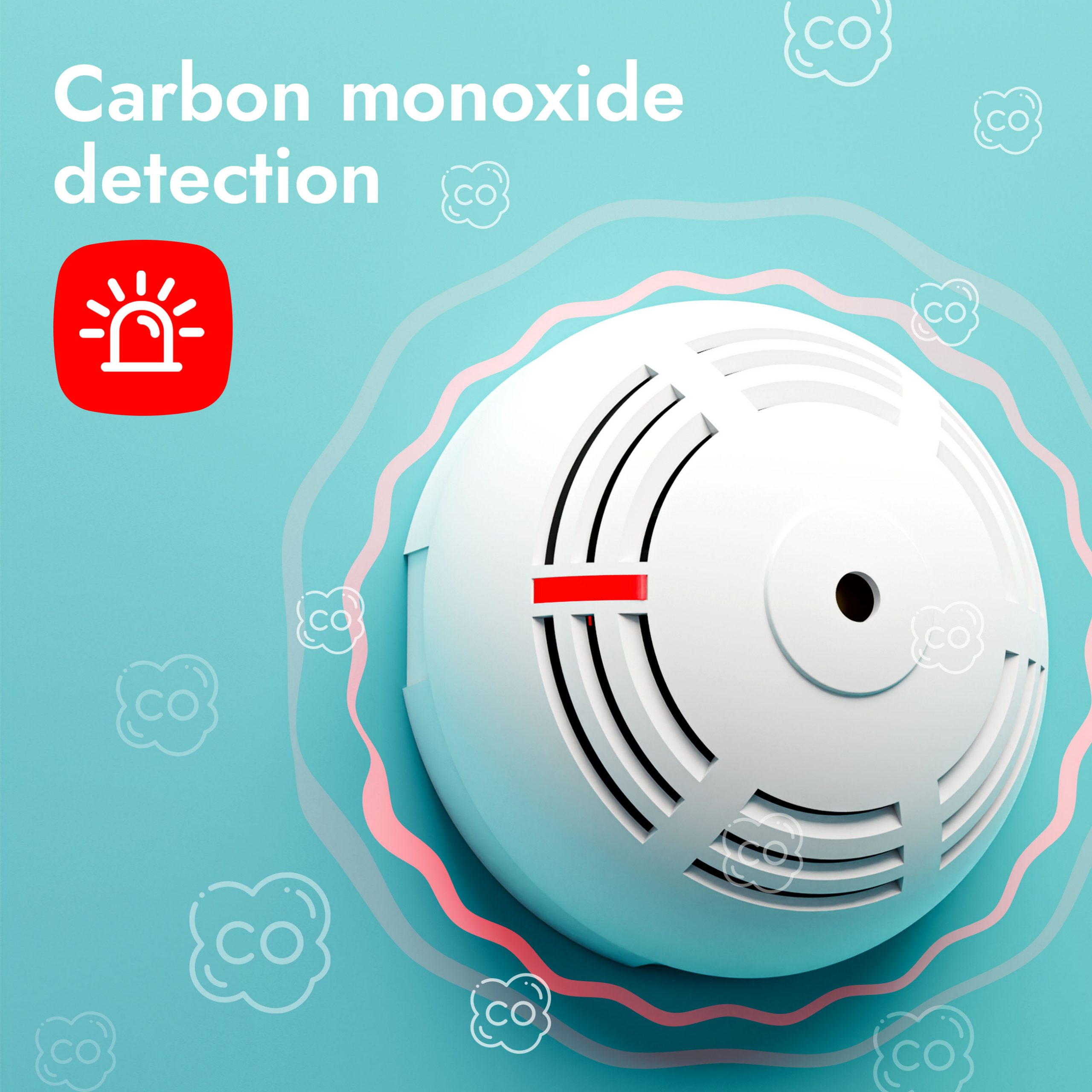 Carbon Monoxide Detector